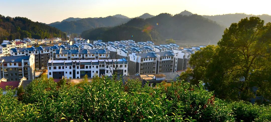 【每日一景】天然氧吧华林山_澎湃号·政务_澎湃新闻-the paper