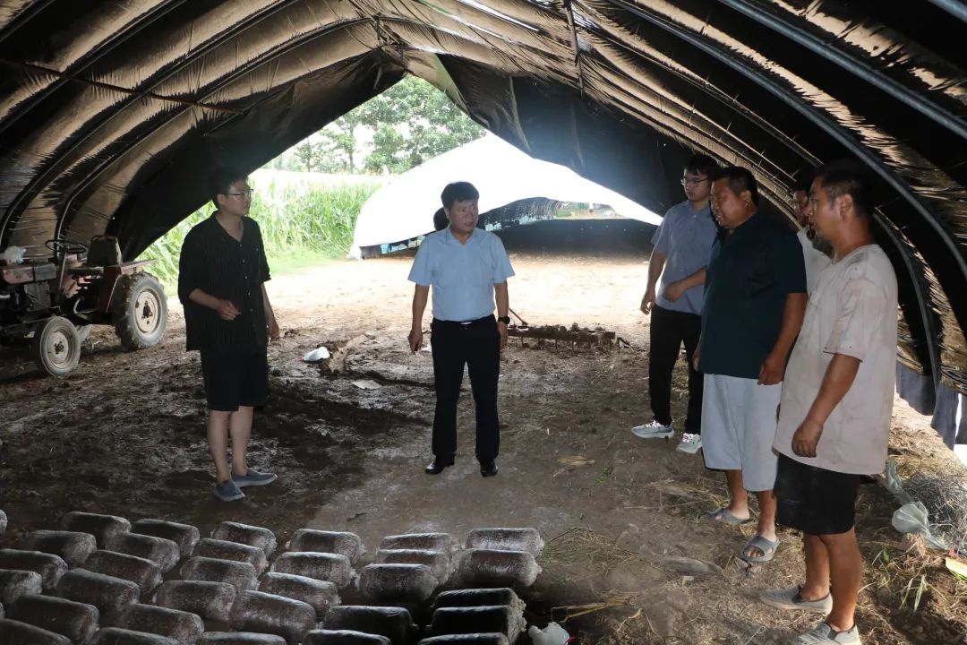 周口中院刘坤主任到帮扶村慰问调研_澎湃号·政务_澎湃新闻-the paper