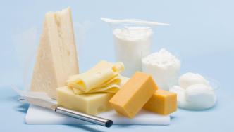 上半年食品板块速览（下）：奶酪制品领跌，负增长近三成