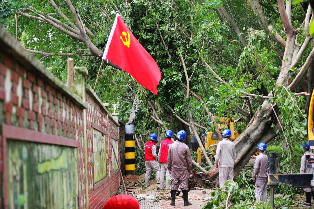 凯旋而归！国网古田县供电公司支援队伍圆满完成抢修复电任务