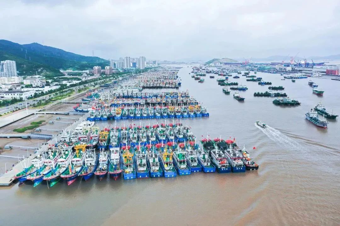 奔赴渔场投入生产2700余艘渔船将结束休渔明天上午10时小布从市海洋与