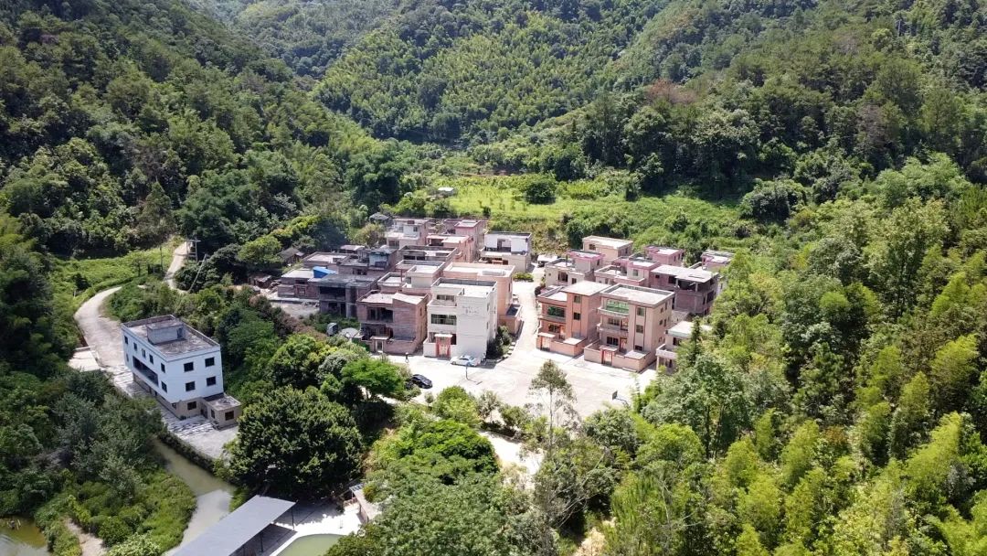 石咀镇大力推进绿美建设,谱写乡村振兴新篇章