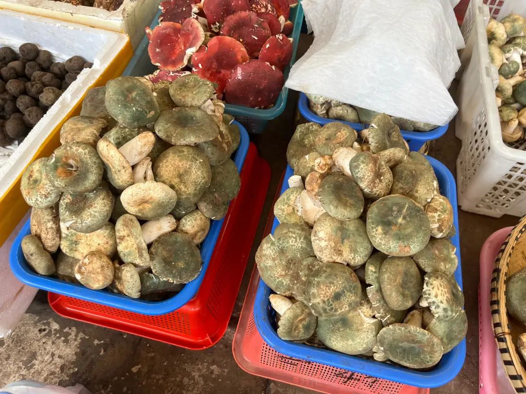 大量上市，价格跳水！昆明迎来……