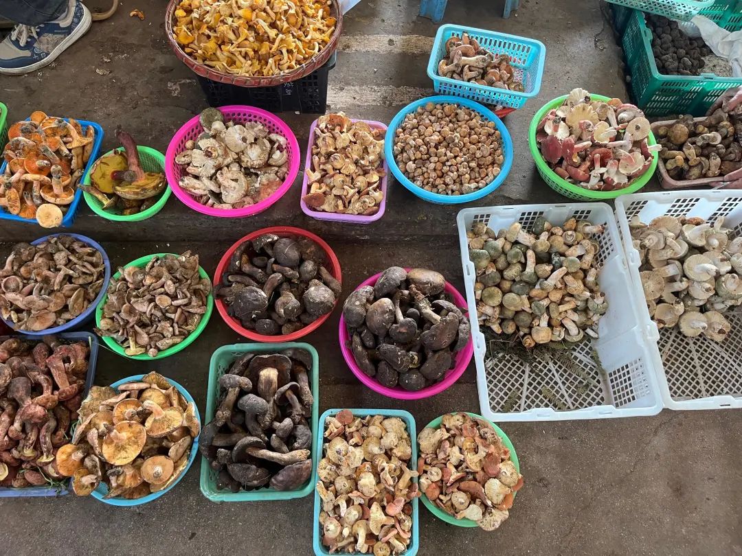 大量上市，价格跳水！昆明迎来……