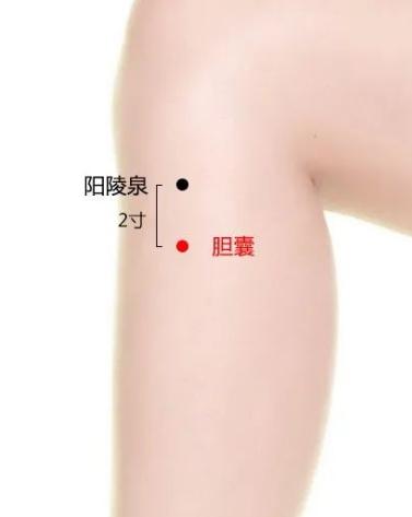 【王博士讲穴位】胆囊穴 | 胆囊检测开关