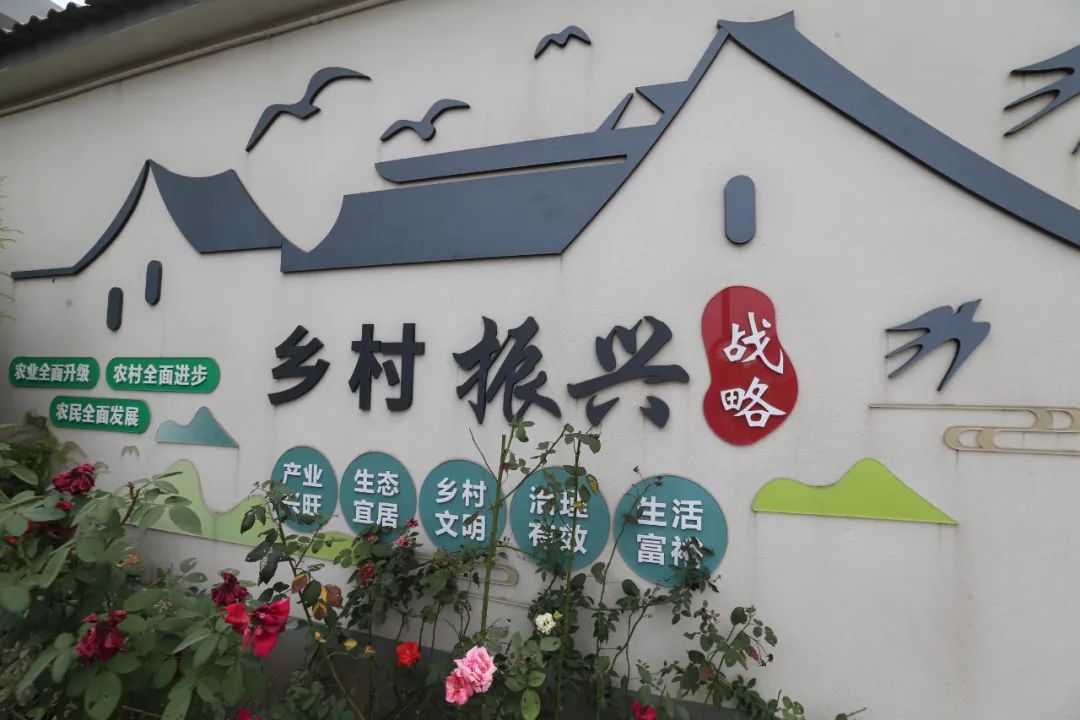 陆方舟调研乡村振兴示范村建设