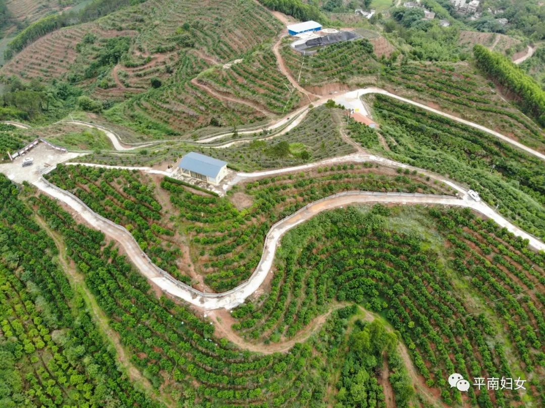 基地位于平南县平山镇长岗岭工业园,年加工生桂皮3000吨,年销售额3000