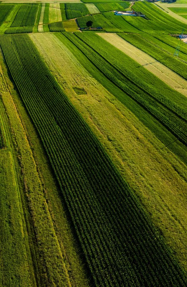 定边:壮美白于山 花海迎客来
