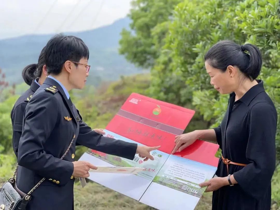 文成，全省示范！_澎湃号·政务_澎湃新闻The Paper