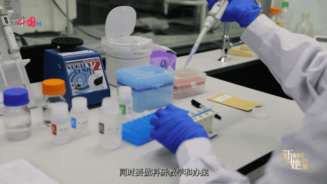 她，用教师与法医的双倍严谨捍卫人间真相_澎湃号·政务_澎湃新闻-The Paper