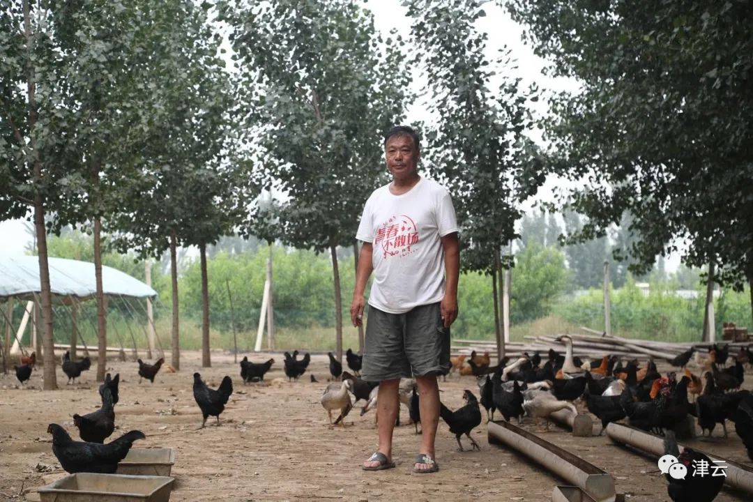 回家了!被按下暂停键的台头镇正在重启