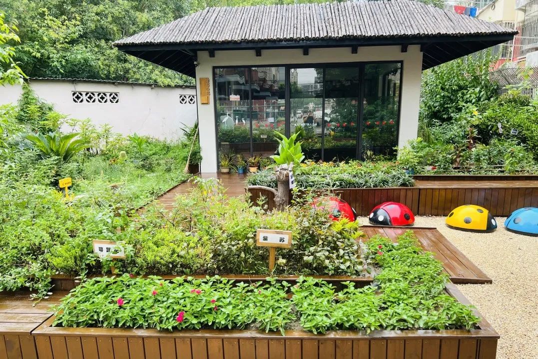 长宁建成13座风格迥异的生境花园,有望成为国内首个"高密度城区生物