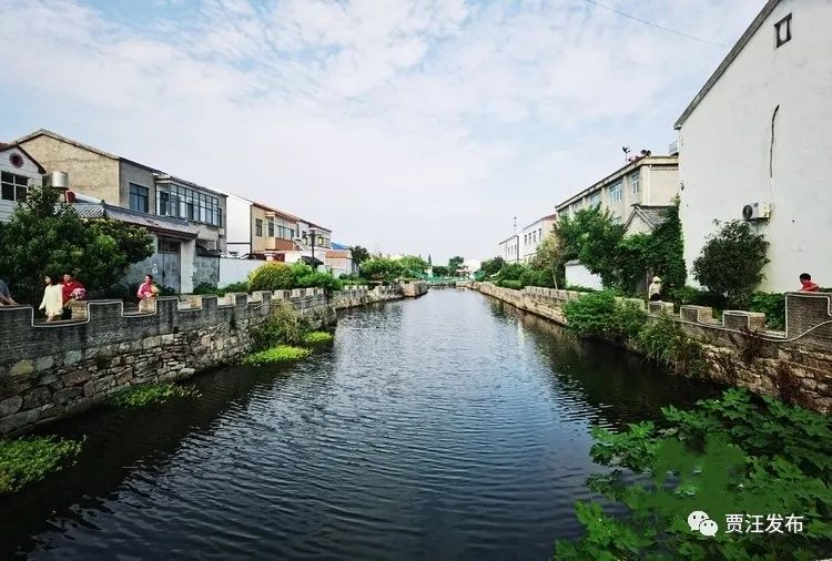 【贯彻全会精神 走在前 做示范】紫庄镇:全力抓好重大项目 书写高质量