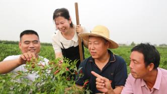 河南安陽：南崔莊夯實產業振興，續寫“雞毛上天”新篇章