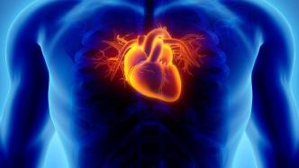 人工心脏谁需要装？术前如何评估和管理？中国专家共识