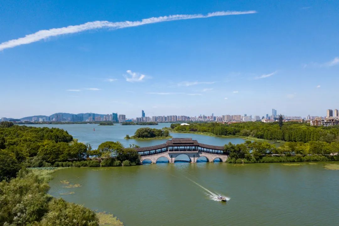 在此次拆围透绿后长广溪湿地公园将继续探索公园美景与城市生活深度