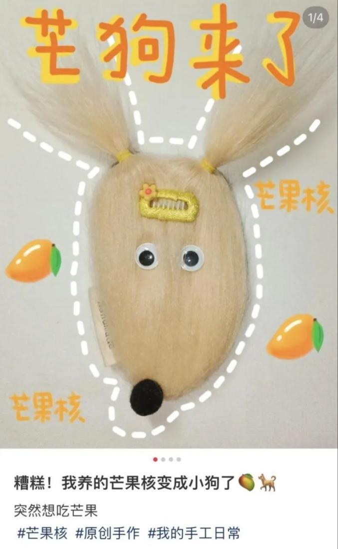 芒果核会变成小狗别上发卡,扎起耳朵还真是什么都能做啊大家纷纷晒出