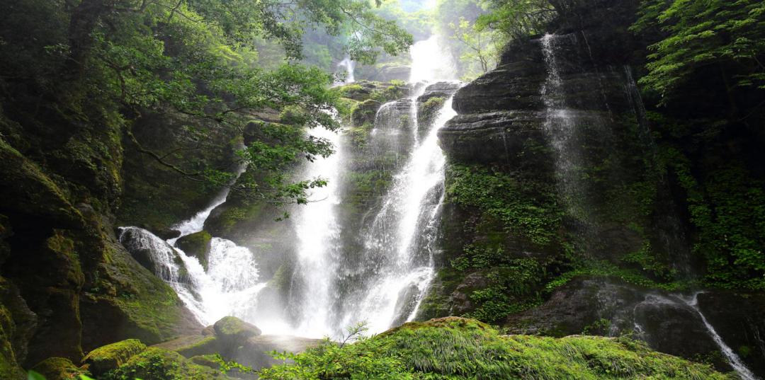 风雅壁州 山水通江丨空山天盆,藏在森林秘境里的天然氧吧!