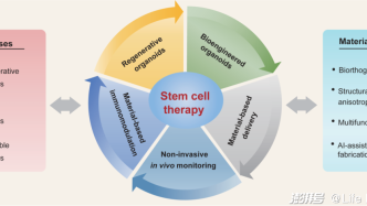 Life Med | 聶廣軍/劉昌勝院士發表功能性生物材料與干細胞再生醫學的綜述文章