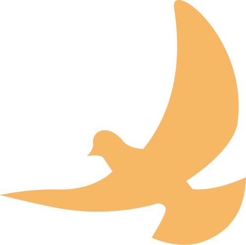 向人民报告⑦ | 天台县委书记杨玲玲:点水成“金” 让水流之处变成富庶之地