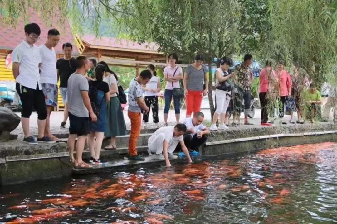 向人民报告⑦ | 天台县委书记杨玲玲：点水成“金” 让水流之处变成富庶之地