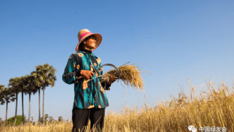 柬埔寨女农“拥抱”可再生能源触手可及 | 女性促进气候适应型社会计划