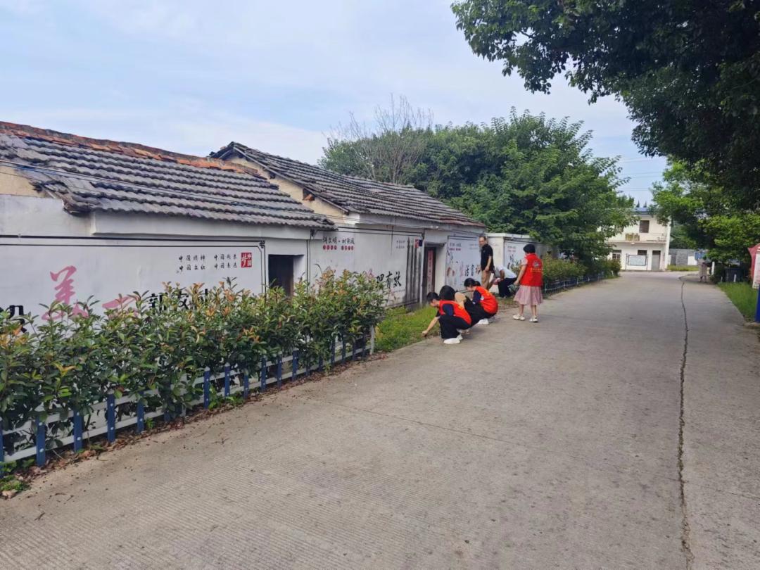 巾帼志愿服务丨桐城市新渡镇妇联:助力人居环境整治 建设美丽幸福家园
