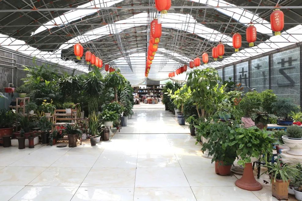 乡村振兴,人才是关键,临水镇镇长王君杰表示,将持续开展人才挖掘活动