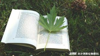 進(jìn)口影片未獲配額，當(dāng)事人若無(wú)過錯(cuò)，違約金責(zé)任能否免除？