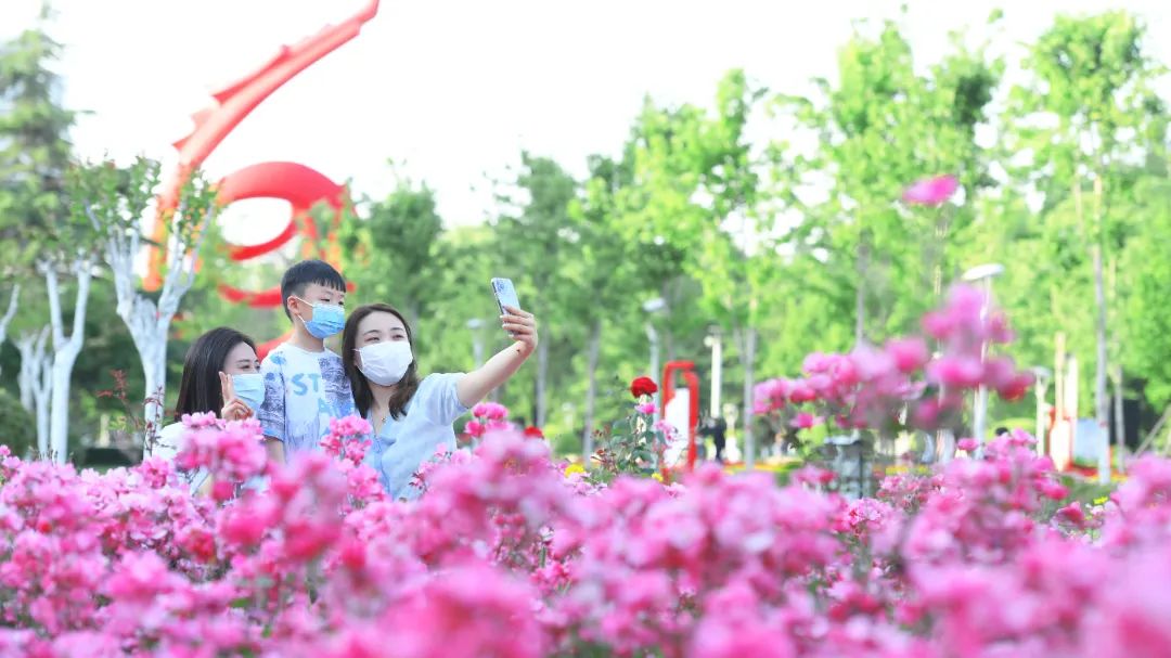 濮阳羊羊花卉的简单介绍 濮阳羊羊花草
的简单

先容
 花卉