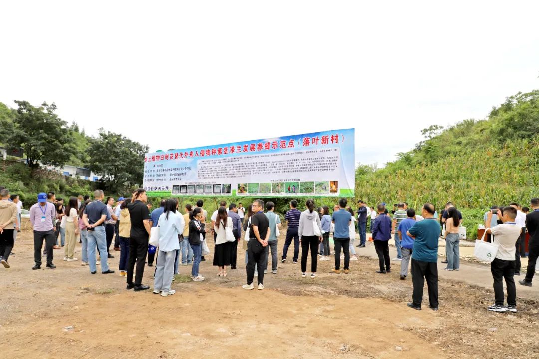 贵州科学院植物园副主任,研究员 李苇洁:来到关岭让我感受很深,因为