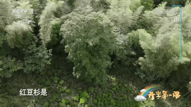 福建武夷山国家公园登上央视舞台寻找“神奇物种”