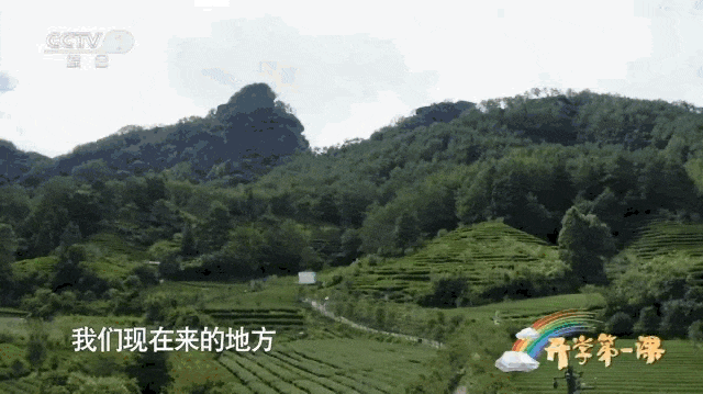 武夷山夜场新闻资讯_南平武夷新闻_正天下武夷正山小种