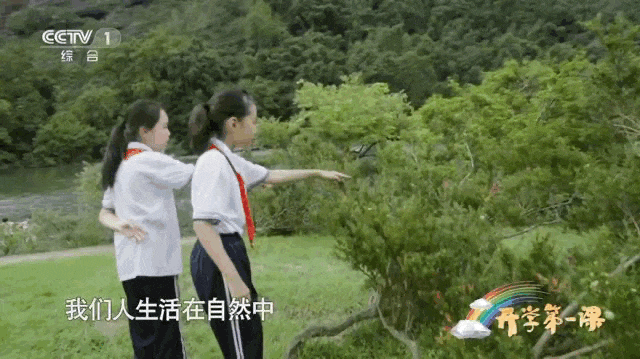 南平武夷新闻_正天下武夷正山小种_武夷山夜场新闻资讯