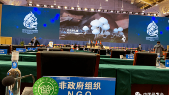 中国绿发会国际交流与合作工作简介（2023年8月）