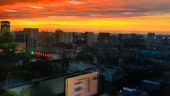 偶然的指爪與必然的印跡——序《逆旅飛鴻》