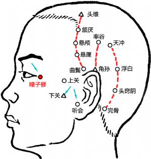 瞳子髎按摩特别疼图片