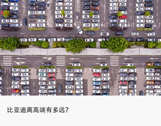 單車收入不足16萬，比亞迪沖擊高端勝算幾何？液壓動(dòng)力機(jī)械,元件制造