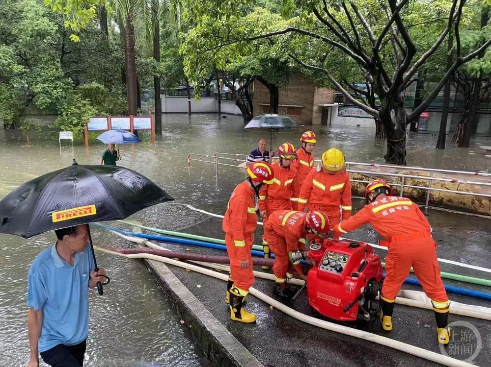 暴雨致佛山动物园“动物出逃”？园方回应