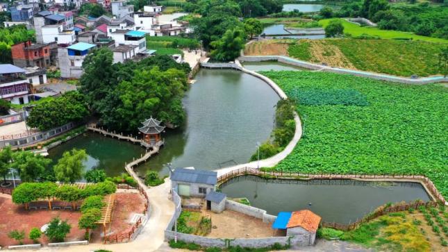 乡风文明和美家园来宾市武宣县黄茆镇选树典型激励乡风文明建设
