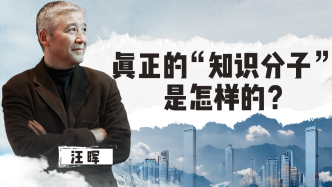 清华教授汪晖：真正的“知识分子”应该是怎样的？