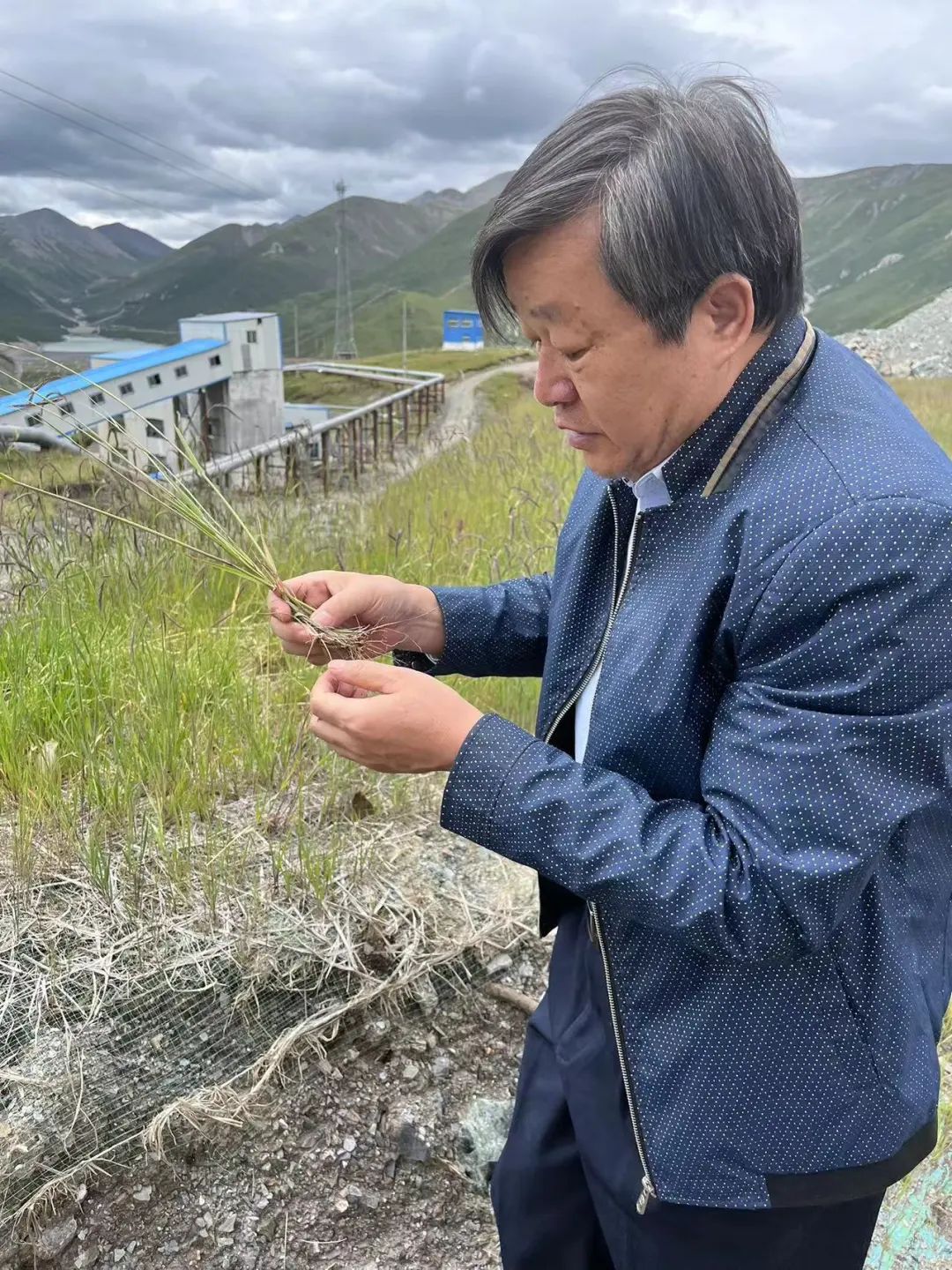 学到了吗（矿山里面是什么）矿山里有什么样的矿石，让海拔4000多米的高寒矿山石头上长草，可能吗？，国家标准物质资源共享平台，巾组词语，