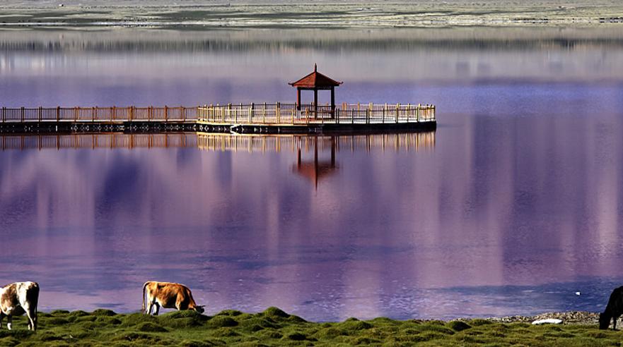 如梦似幻的紫色湖水，你见过吗？ | 私家周历