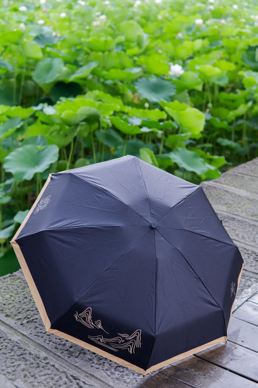 川大定制【文创伞】惊艳上新!两款皆心动!