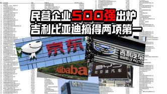 民营企业500强出炉，吉利比亚迪摘得两项第一