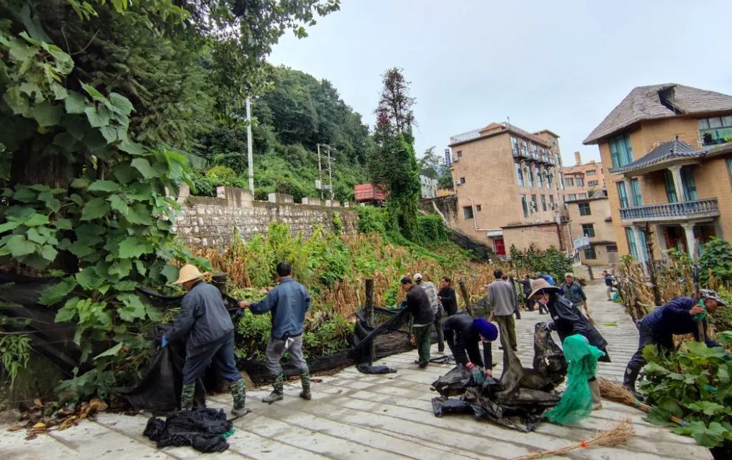聚力整治人居环境，擦亮乡村振兴幸福底色_澎湃号·媒体_澎湃新闻-The Paper