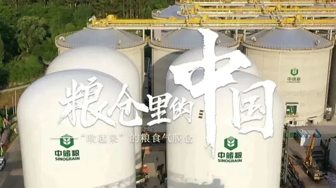 《粮仓里的中国》上榜!中储粮集团公司作品入选2022中国正能量网络精品_澎湃号·政务_澎湃新闻-The Paper