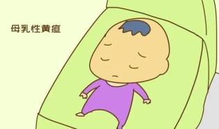 为什么要用光疗纸尿裤黄疸照蓝光有危害吗？如何分辨母乳性黄疸？_https://www.jmylbn.com_新闻资讯_第4张