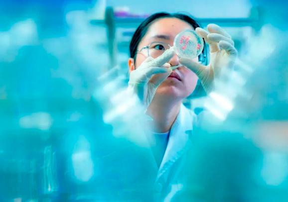 手术缝合线是什么材料滨湖造！手术抗菌缝线首现国产品牌_https://www.jmylbn.com_新闻资讯_第5张