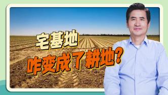 宅基地咋变成了耕地？郑风田：农民不知道，可能乡镇也不知道